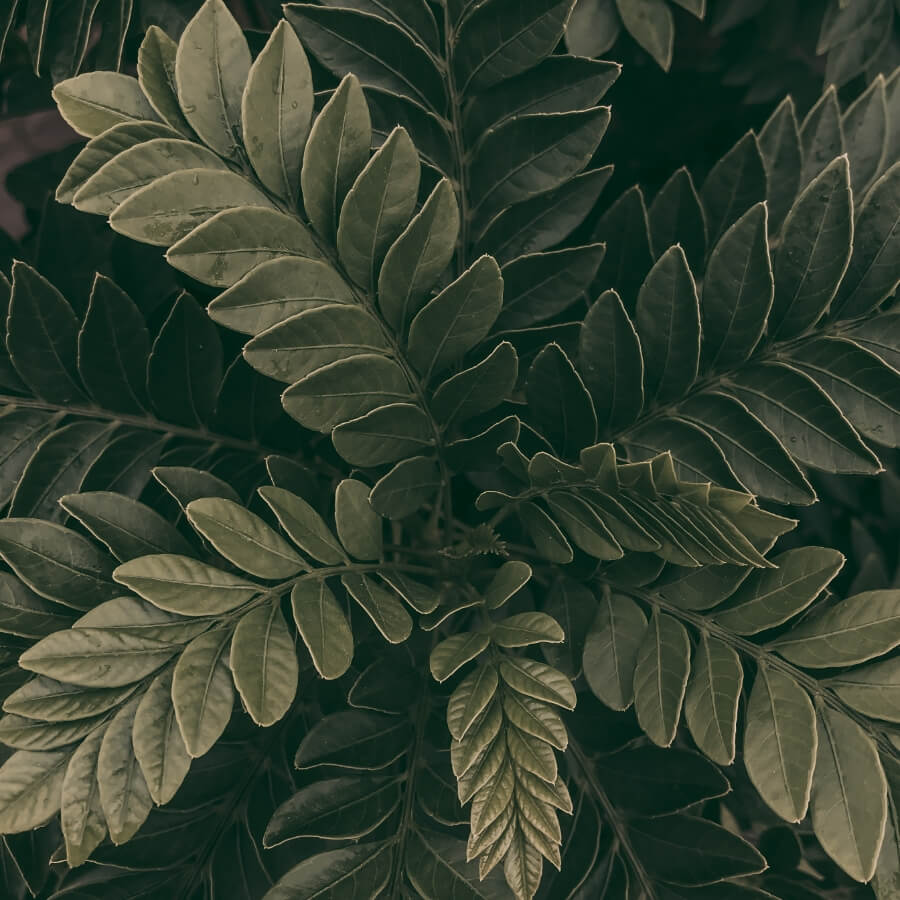 Video Cover Video Cover